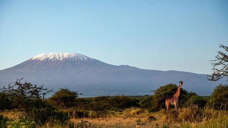 Elicottero di soccorso si schianta sul Kilimangiaro, 5 morti 1