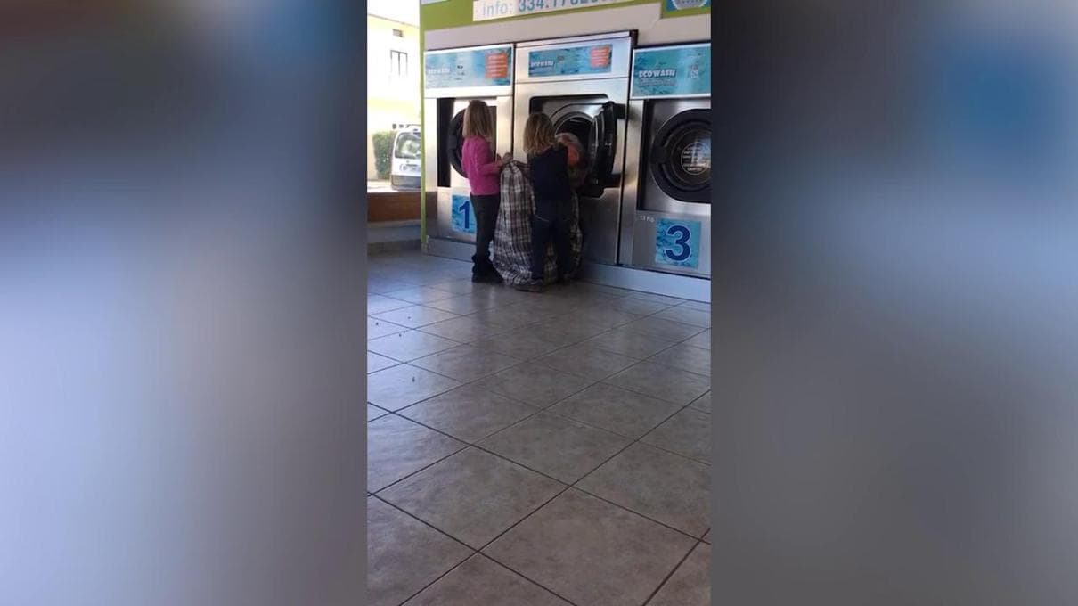 Famiglia nel bosco, i gemelli in lavanderia: “Sono integrati, sanno anche usare la lavatrice” 1