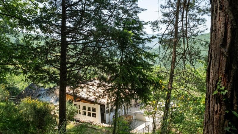 La famiglia nel bosco, la tutrice vuole iscrivere i tre bambini alla scuola pubblica di Palmoli 1