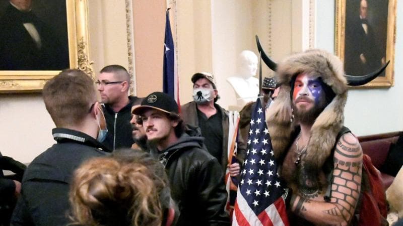 La grande promessa dell’ibogaina: così la destra Usa promuove le droghe psichedeliche 1