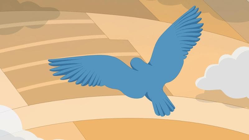 La speranza è verde 1