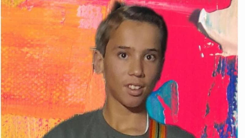 La verità degli ispettori sul suicidio di Paolo Mendico: “La scuola ha mentito” 1