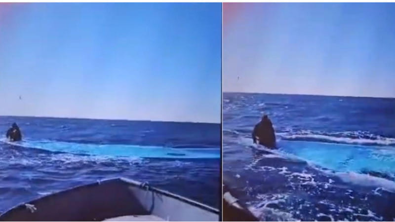 Migranti, Sea Watch: naufragio nel Mediterraneo, si temono 116 morti 1