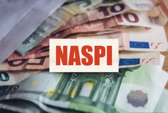 NASpI Verso la Riforma: Pagamento in Due Rate dal 2026 1