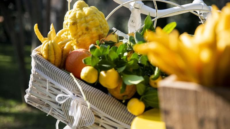 Nella villa di Portaluppi gli agrumi diventano arredi: il fine settimana del FAI alla scoperta dei colori, e del gusto, del Mediterraneo 1