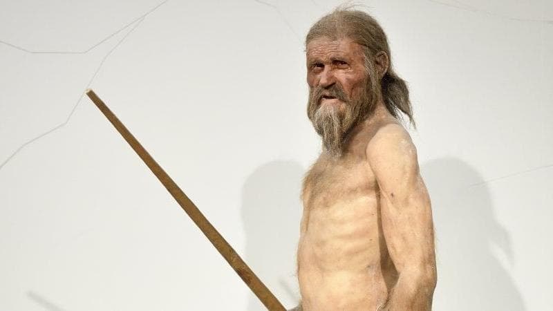 Scoperte: anche l’Homo sapiens vissuto 45 mila anni fa in Siberia aveva il papilloma virus 1