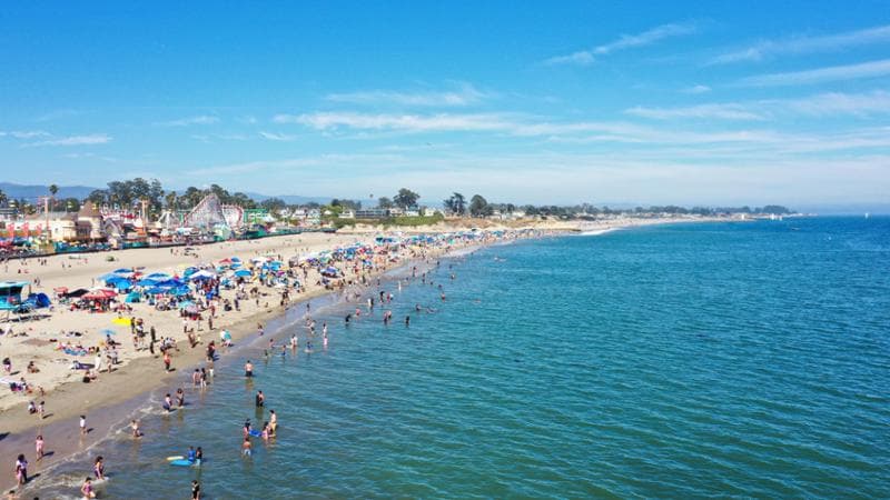 Usa, triatleta uccisa da uno squalo al largo della California 1