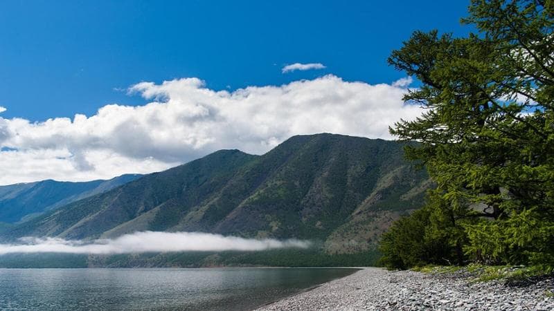 A rischio il “mare sacro” della Russia: via libera al disboscamento delle rive del lago Bajkal 1