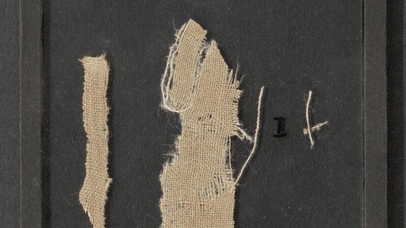 Berlino restituisce a Parigi parti dell’Arazzo di Bayeux sottratte da uno studioso nazista nel 1941 1