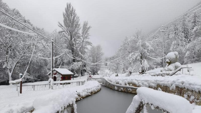 Freddo, neve e gelo: ecco perché è tornato un inverno come il 1985 1