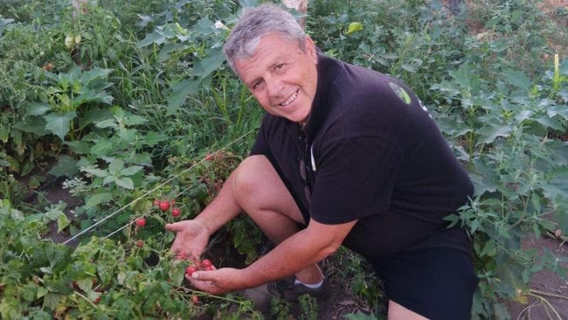 Il successo del docente che ha convertito un istituto scolastico in un'azienda agricola: “Qui facciamo crescere il futuro” 1