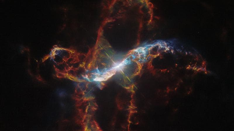 Scopriamo il motivo per cui alcune stelle non invecchiano: il segreto della loro durata risiede nella loro vita di coppia. 1