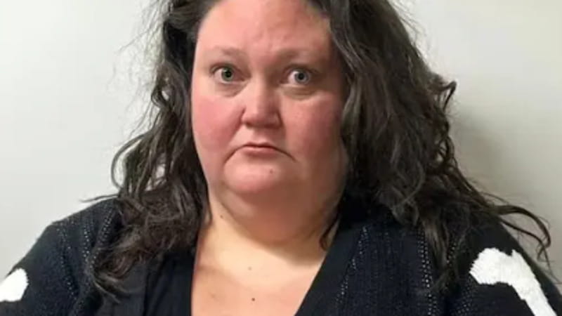 Secondo quanto riportato dai media, una bibliotecaria della West Virginia è stata arrestata per aver reclutato su TikTok individui per compiere atti violenti contro Trump. 1