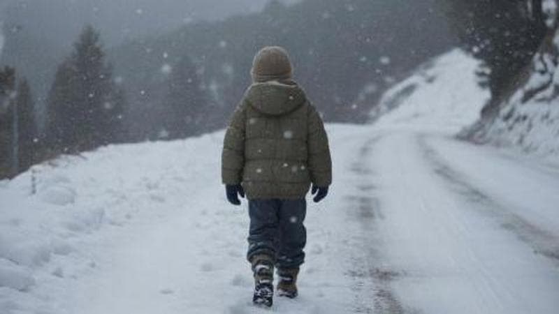 Senza biglietto, l'autista lo fa scendere dal bus: un bambino cammina sei chilometri nella neve. 1