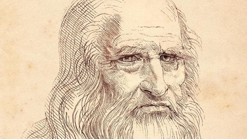 Sulle tracce di Leonardo da Vinci: il dna del genio italiano su un disegno a matita 1