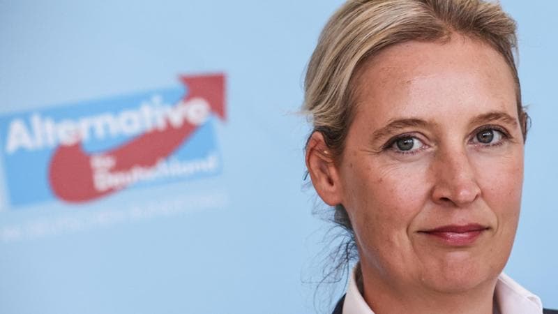 Venezuela-Groenlandia, dilemma per l’ultradestra tedesca Afd: e alla fine sceglie Putin e non Trump 1