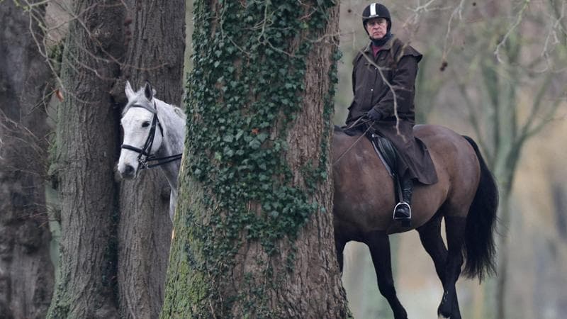 Andrea, ribellione del personale domestico dopo i documenti Epstein: “Si oppongono a prestargli servizio” 1