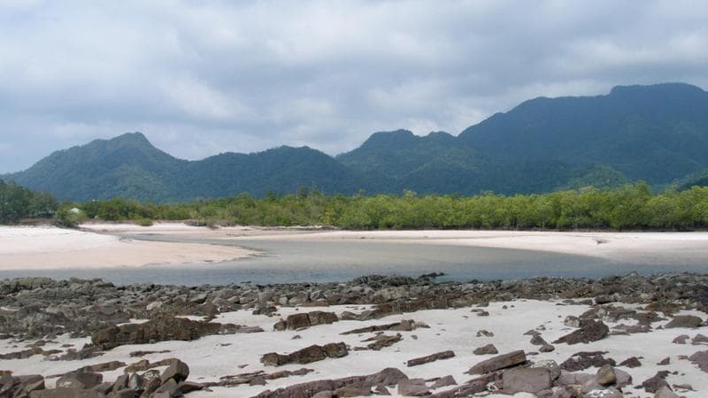 Come Polifemo: una ricerca rivela che i nostri progenitori possedevano un solo occhio. 1