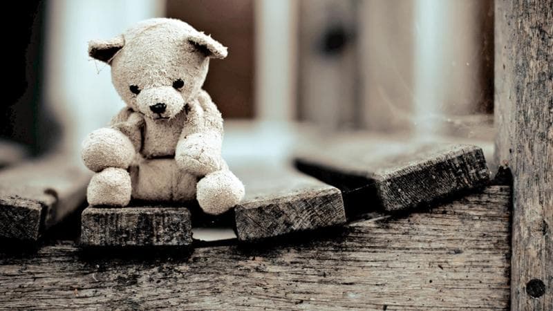 Donatella Di Pietrantonio: “Noi, passivi di fronte a quel cuore sacro che non siamo riusciti a proteggere” 1