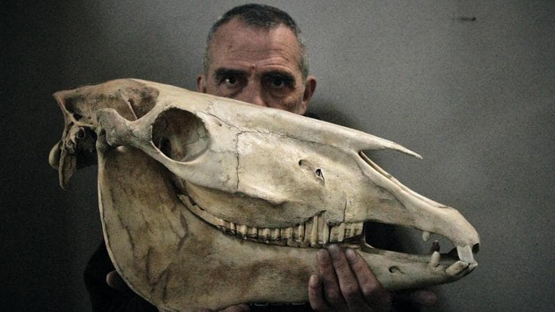 Giovanni Lindo Ferretti: “In passato ero un punk provocatorio, ora compongo preghiere” 1