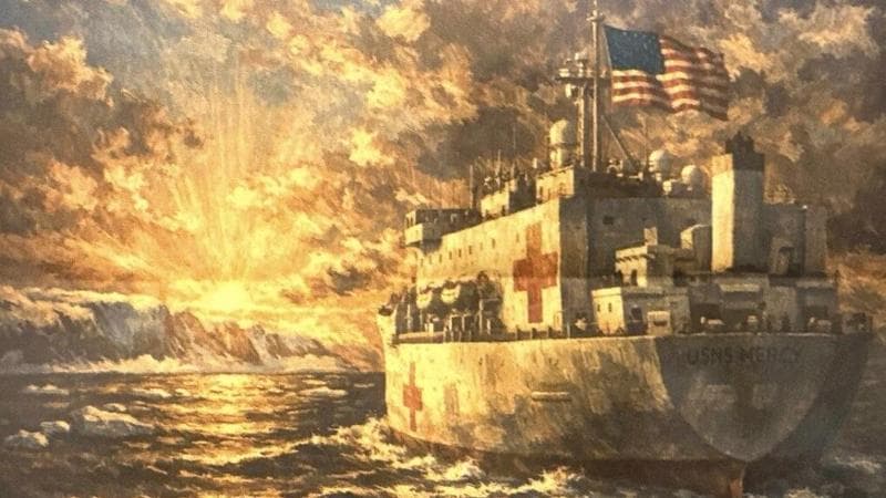 Groenlandia, Trump invia una nave ospedaliera "per i malati". Risposta: "No grazie, qui la sanità è gratuita". 1