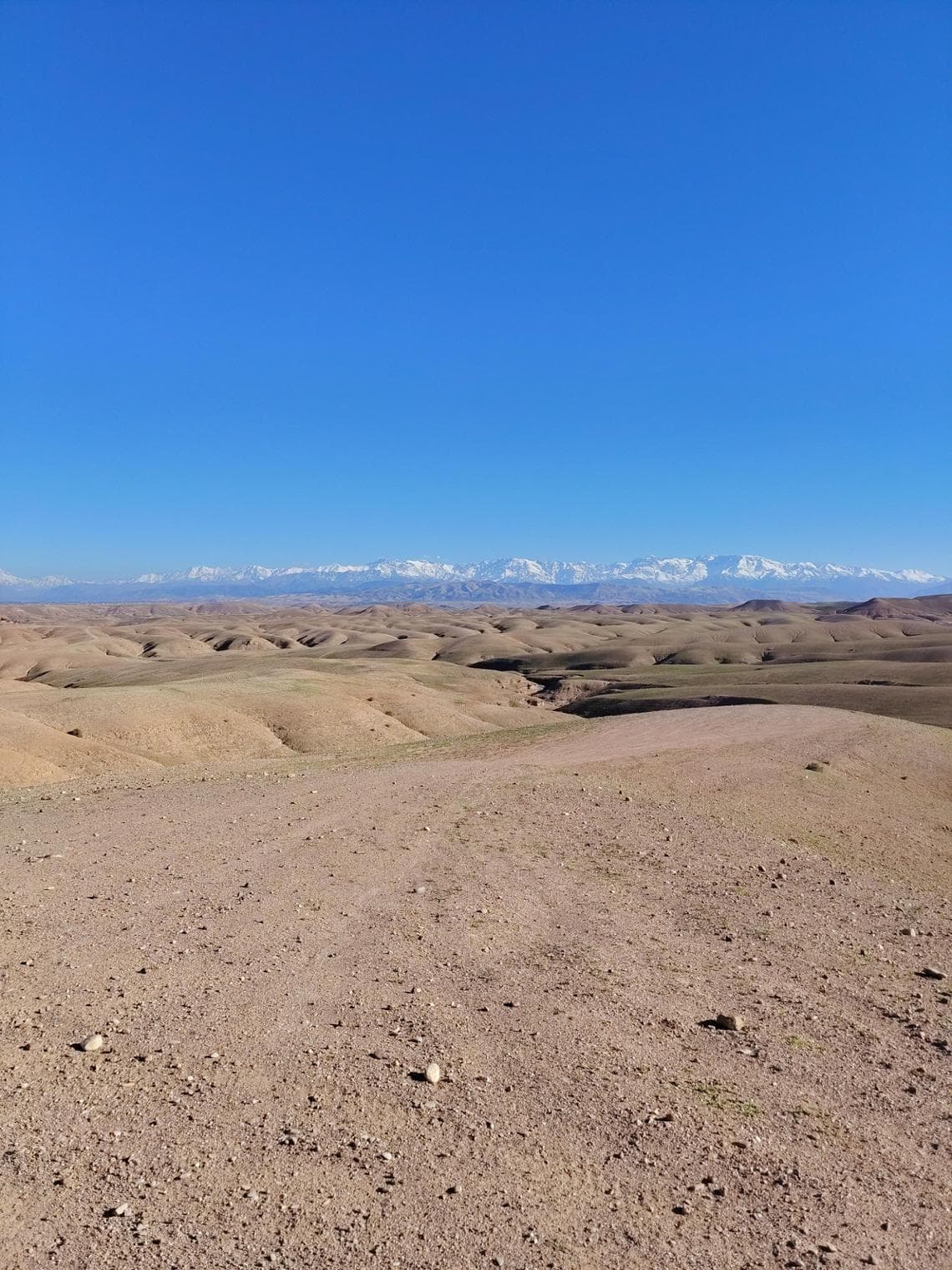 Honor Magic 8 Lite, la recensione: uno smartphone estremamente robusto, perfetto per i viaggi. 5