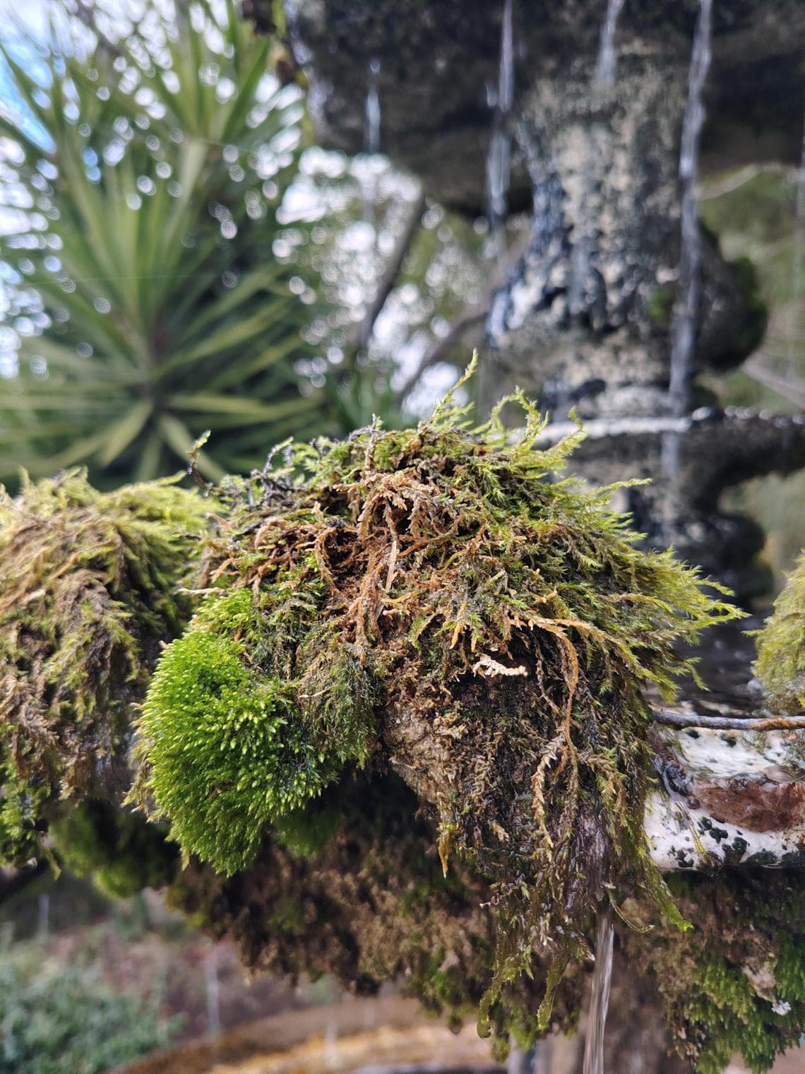 Honor Magic 8 Lite, la recensione: uno smartphone estremamente robusto, perfetto per i viaggi. 13