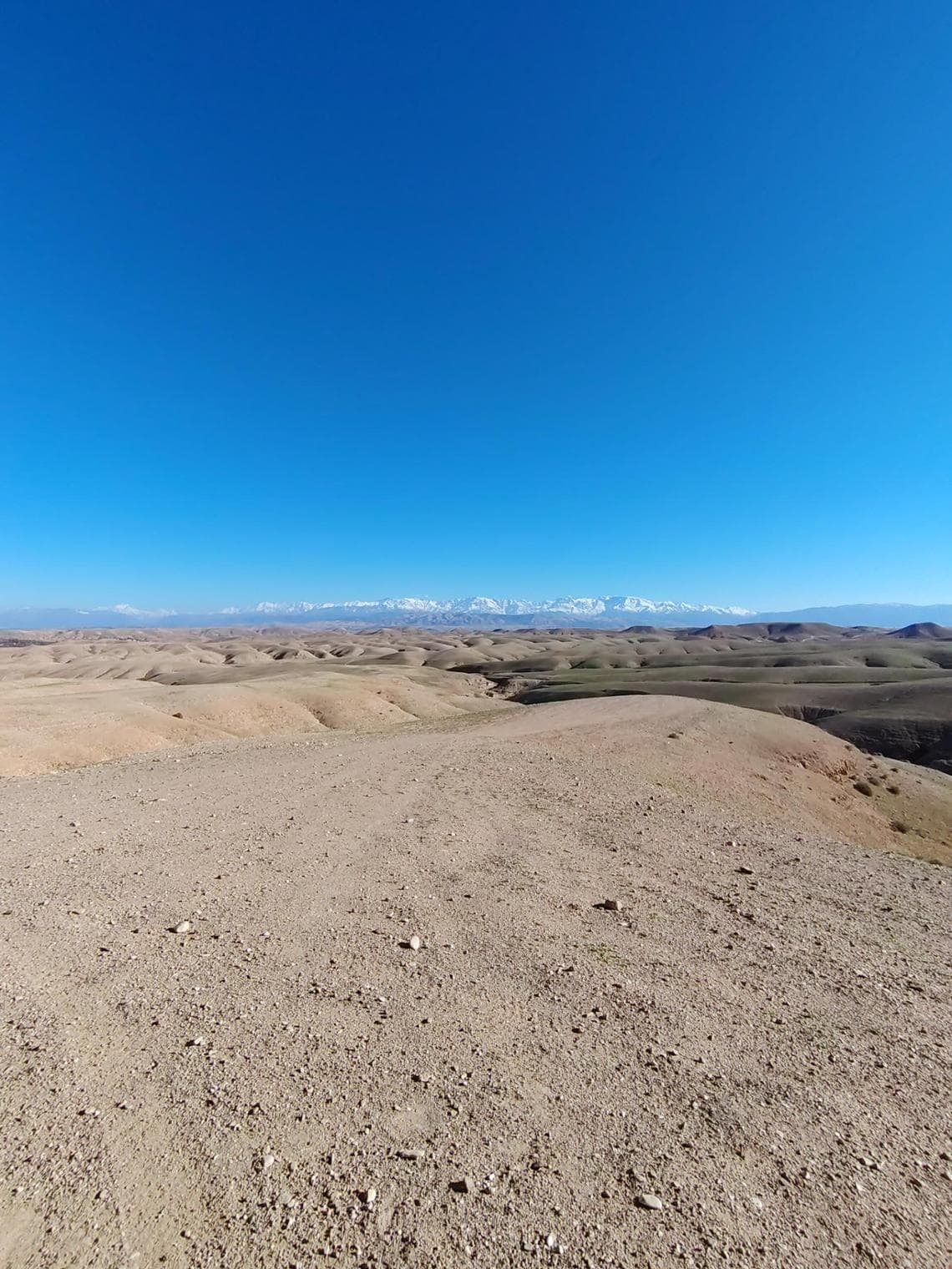 Honor Magic 8 Lite, la recensione: uno smartphone estremamente robusto, perfetto per i viaggi. 6