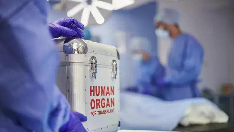 I trapianti cardiaci in età pediatrica sono procedure poco comuni, con una media di trenta interventi annuali in Italia. 1