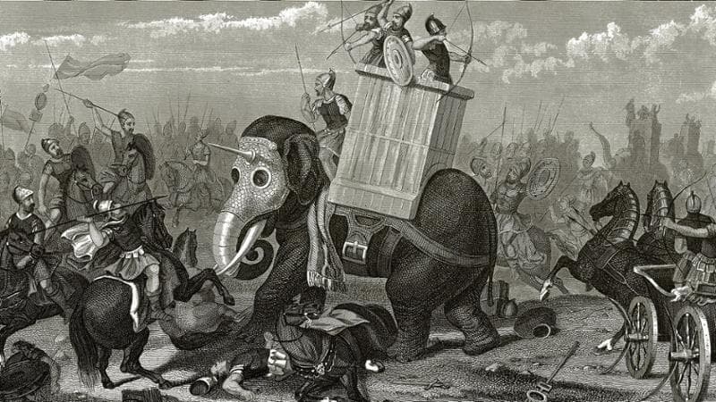 "Il ritrovamento di una zampa in Spagna conferma che Annibale attraversò le Alpi con gli elefanti" 1