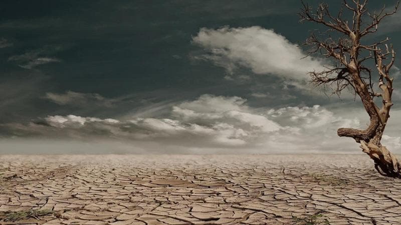 L'influenza del Niño: l'innalzamento anomalo delle temperature nel Pacifico potrebbe riprendere nei prossimi mesi. 1