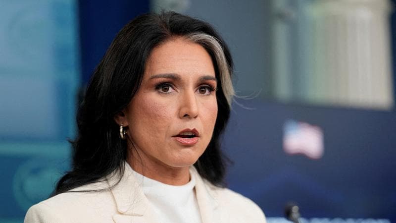 L'intelligence statunitense in allerta: “Gabbard ha occultato una registrazione su Kushner” 1