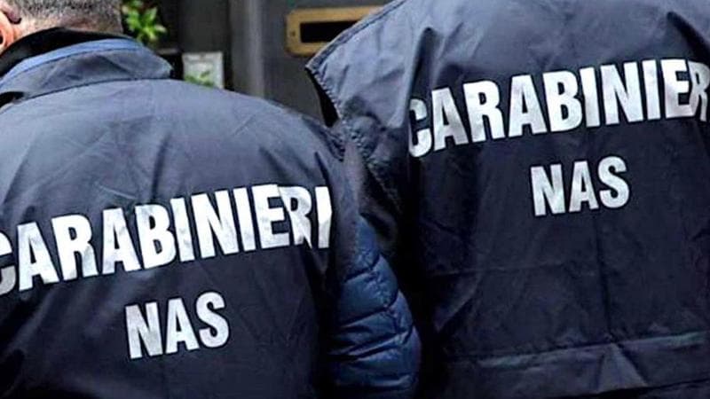 Nas, rapporto annuale: “Dopo i decessi da botulismo, quasi il 50% degli alimenti da strada risulta irregolare” 1