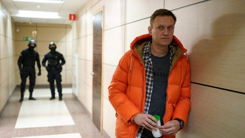 "Navalny avvelenato da Mosca con il tossico della rana freccia ecuadoregna. Zakharova: 'Suggerimenti infondati'" 1