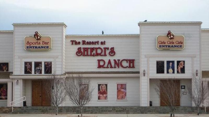 Nevada, protesta nel locale a luci rosse: “Diritti per le operatrici del sesso” 1