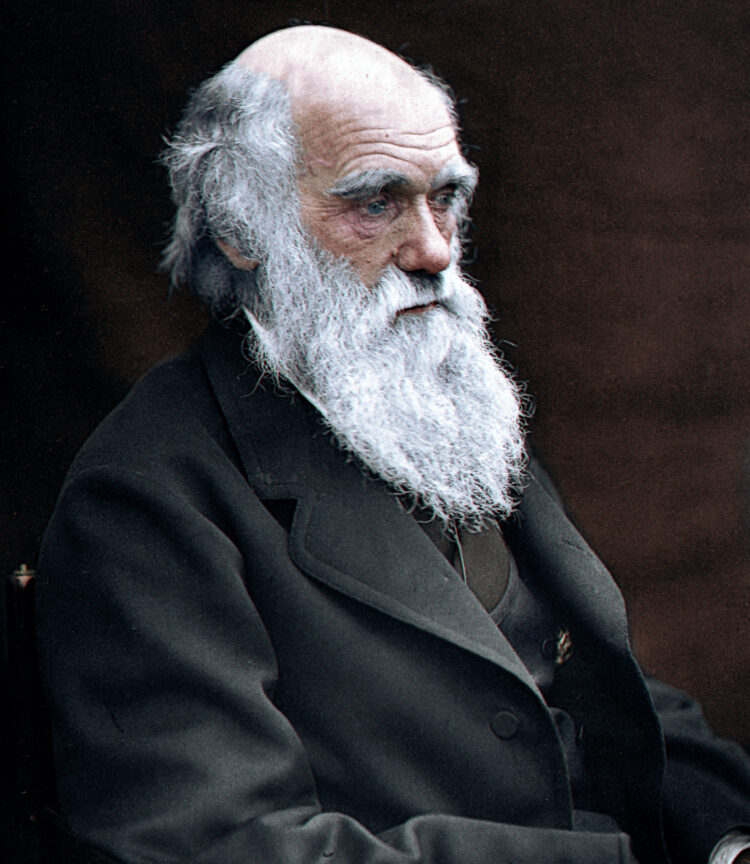 Oggi si celebra il Darwin Day, un omaggio all'evoluzione. 1