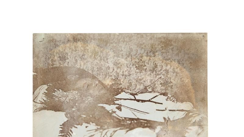 Qual è il valore di Oscar Wilde? La sua immagine sul letto di morte stabilisce un nuovo record all'asta. 1