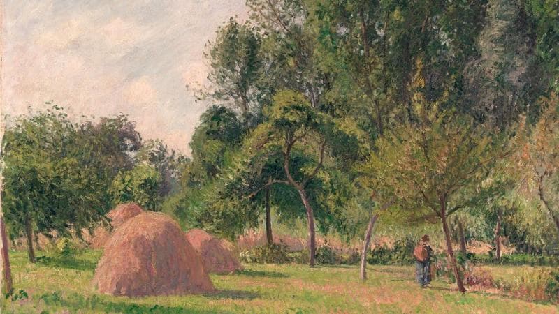 "Questo Pissarro è connesso alle razzie naziste", il caso che coinvolge il Metropolitan di New York. 1