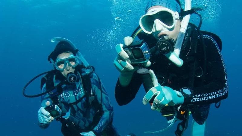 Coralli e mantidi esotiche, le scoperte inaspettate dei cittadini ricercatori 1