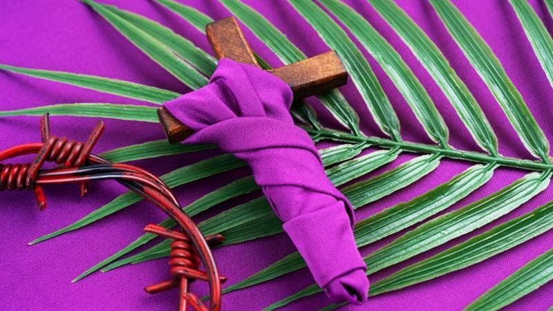 Domenica delle Palme: significato della celebrazione e uso dell'ulivo. 2