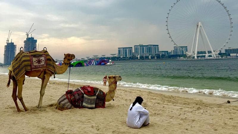 Dubai deserta di visitatori: attività operative ma assenti i turisti per vivere il lusso. 2