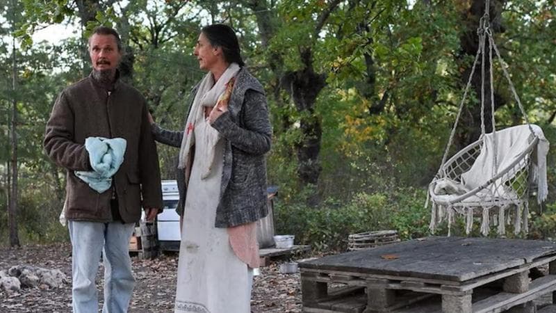 Famiglia nel bosco, Catherine: “Desidero porre fine ai conflitti”. Il riavvicinamento è imminente. 2