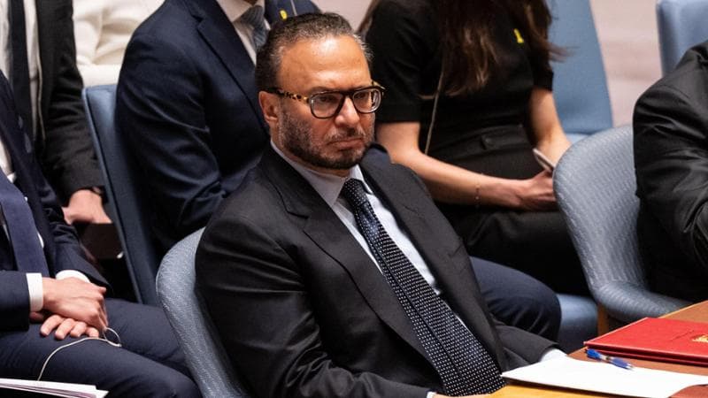 Gargash: “L’Iran è in una situazione critica, mira al disordine ma ha sottovalutato le nazioni del Golfo” 2