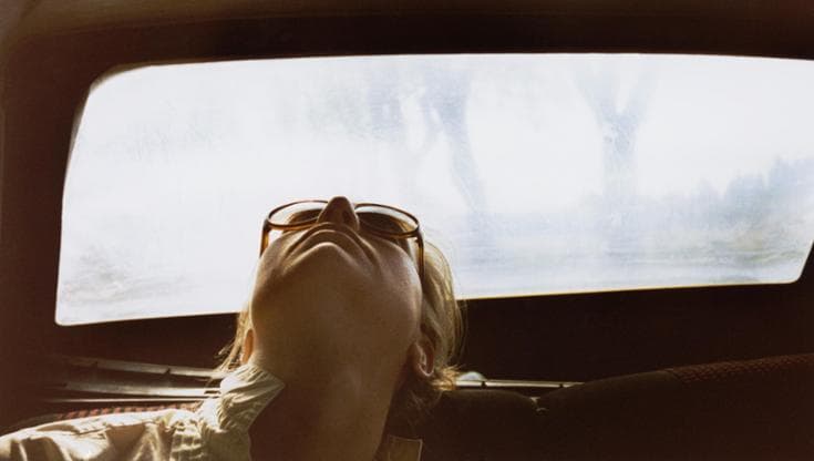 Il mento? Siamo l'unica specie a possederlo e potrebbe non avere alcuna utilità. 1