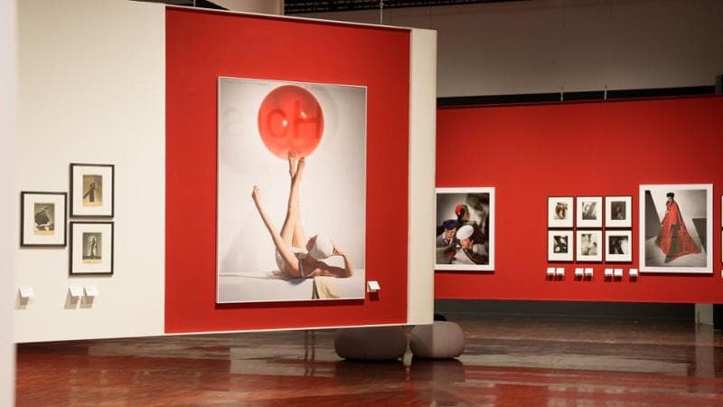 Il prestigiatore Horst e il segreto della bellezza 2