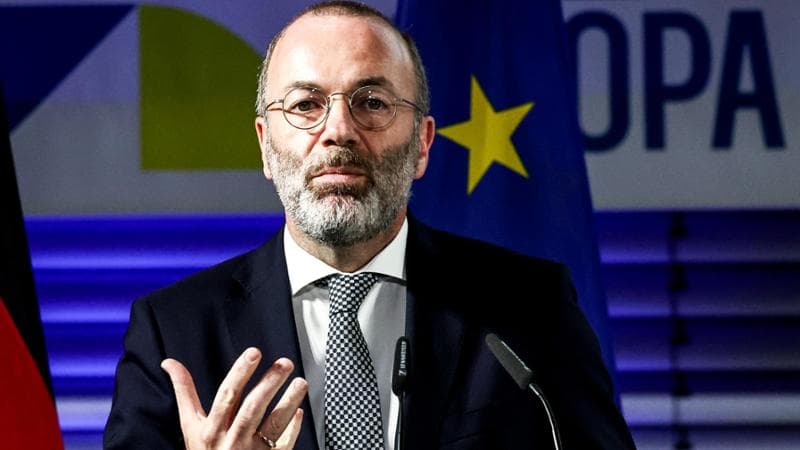 Immigrazione, intesa tra Ppe e Afd: una conversazione riservata rivela l'intesa. 2