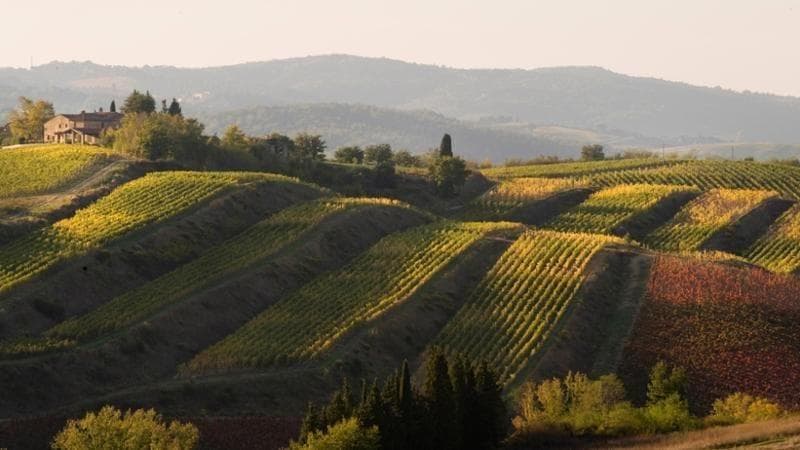 Interrompiamo il ciclo dell'overtourism, che riduce l'Italia a un prodotto commerciale. 1