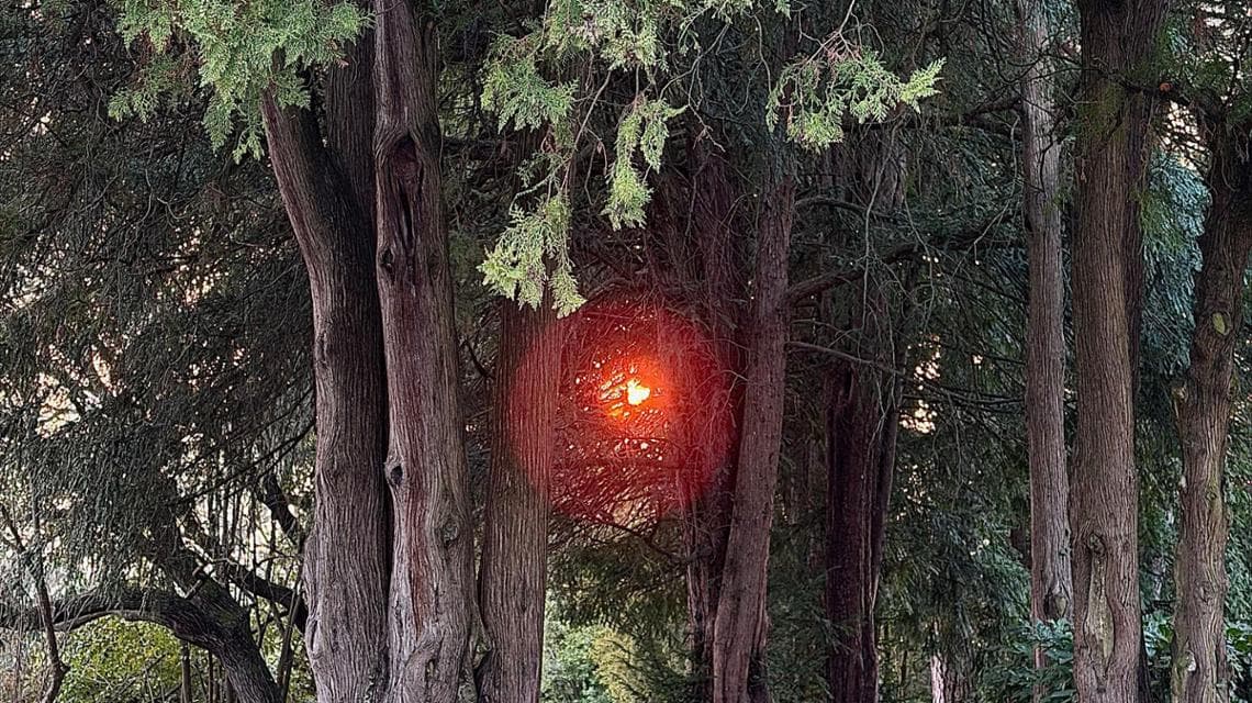 iPhone 17e, anteprima della recensione: prezzo ridotto ma senza compromessi di qualità 8