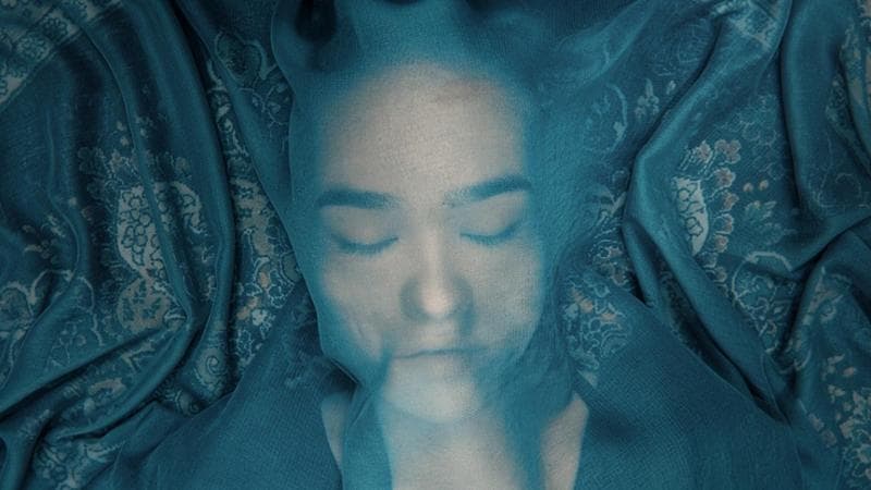 La distinzione tra verità e propaganda, analizzata in un documentario. 2