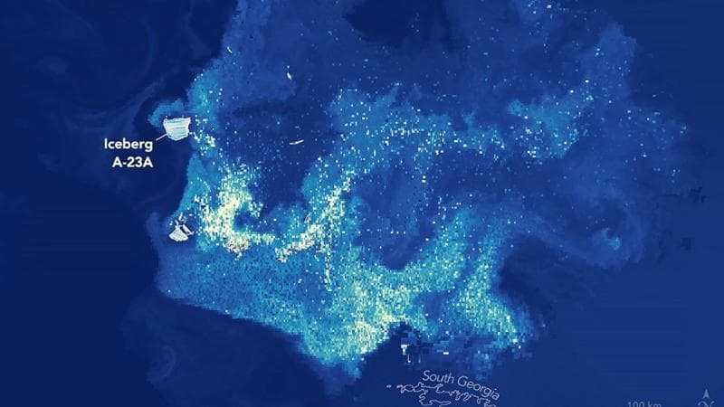 L'iceberg da primato sta per scomparire, ma prima di disintegrarsi favorisce la vita oceanica. 2